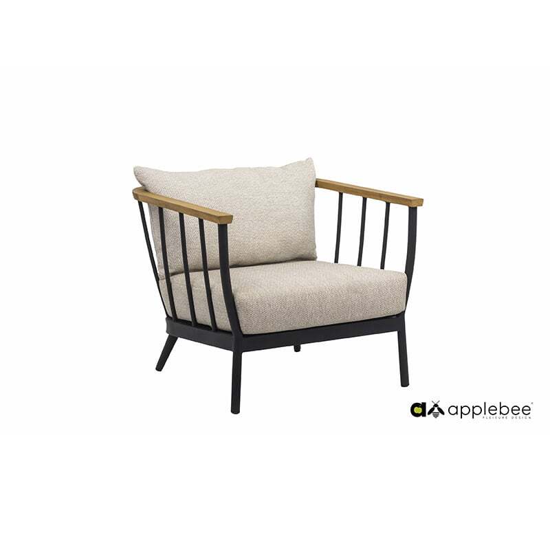 Sillon-condor