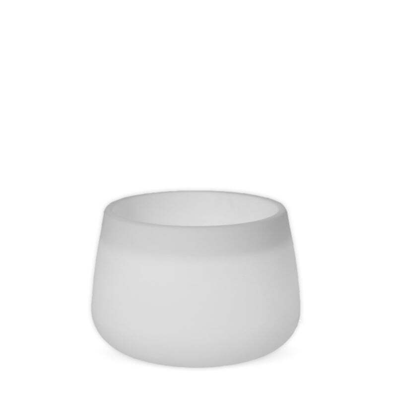 8071-MACETERO-CAMELIA-60 (1)