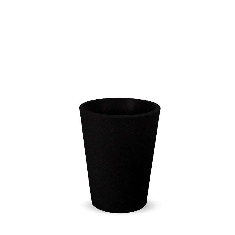 gerbera-negro_be3d978e-f9ad-4fe9-8b88-14ddcd498c11@2x