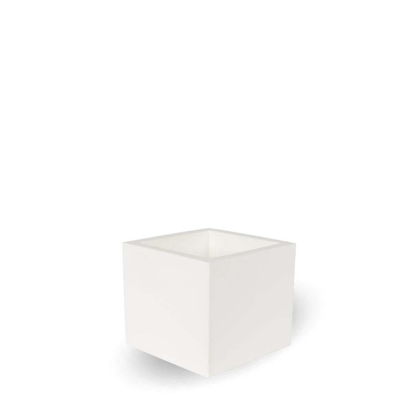 narciso-blanco_93c699f5-24a0-4866-9e92-71323e02a833@2x