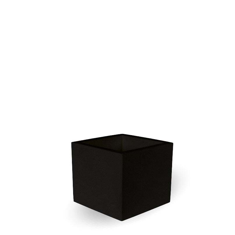narciso-negro_dd63fa28-501d-400c-8a07-e5a85e1d0f04@2x