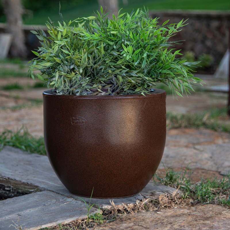 AZALEA_30 (2)