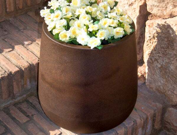 camelia2-1-1-600x458@2x