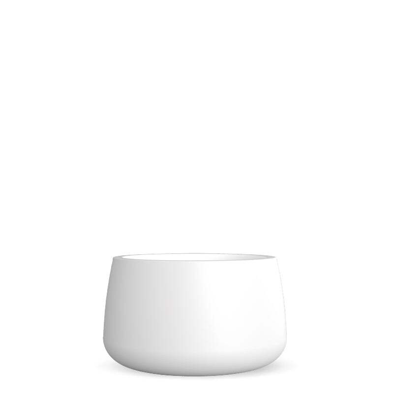 camelia60-blanco@2x