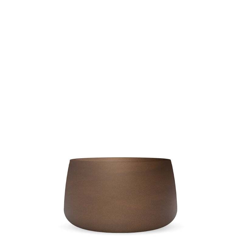 camelia60-bronce@2x