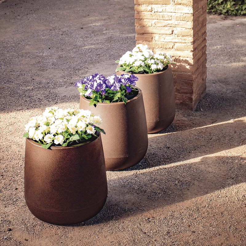 camelias40-ambiente_a50313ef-849a-400f-97ad-3ecbb7498402@2x