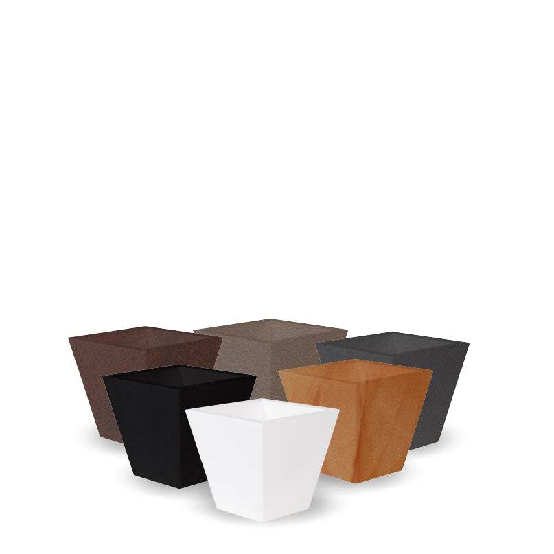 clavel-40 (1)