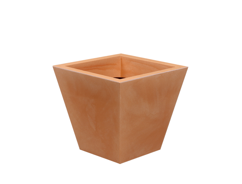 clavel-40 (1)