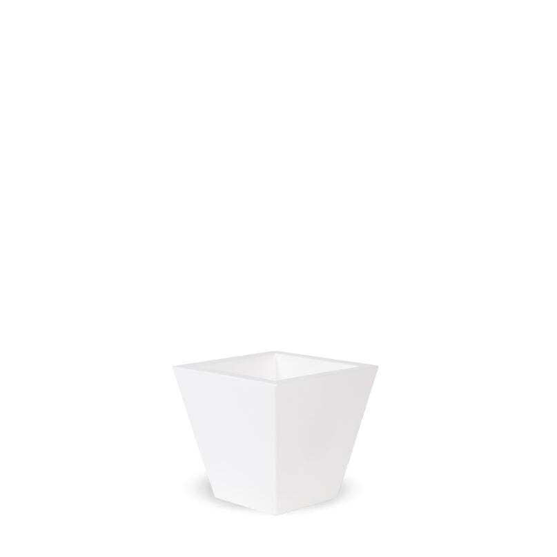 clavel-40-blanco