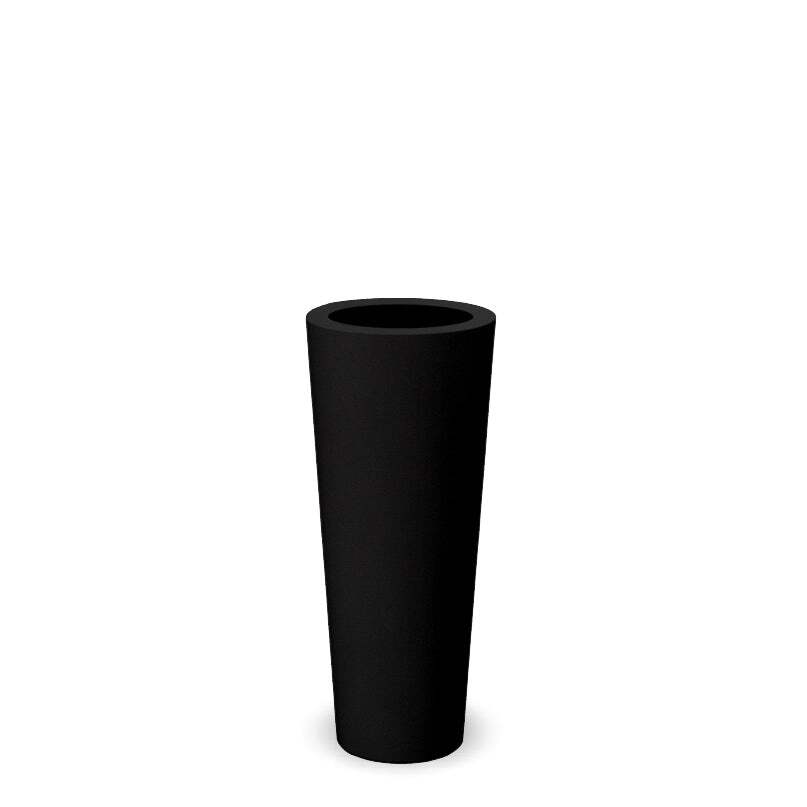 ficus80-negro@2x