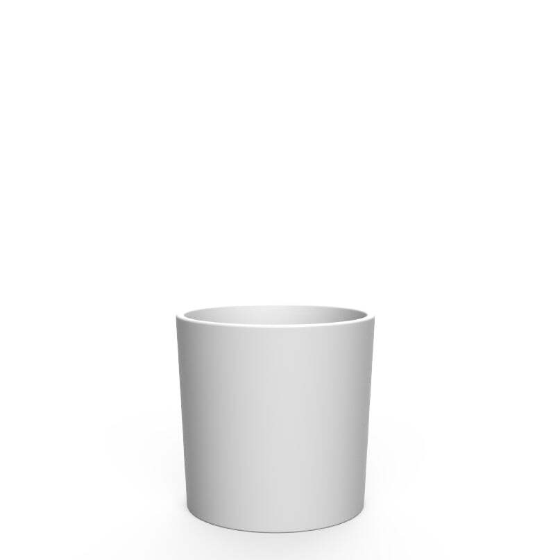 hortensia-blanco@2x