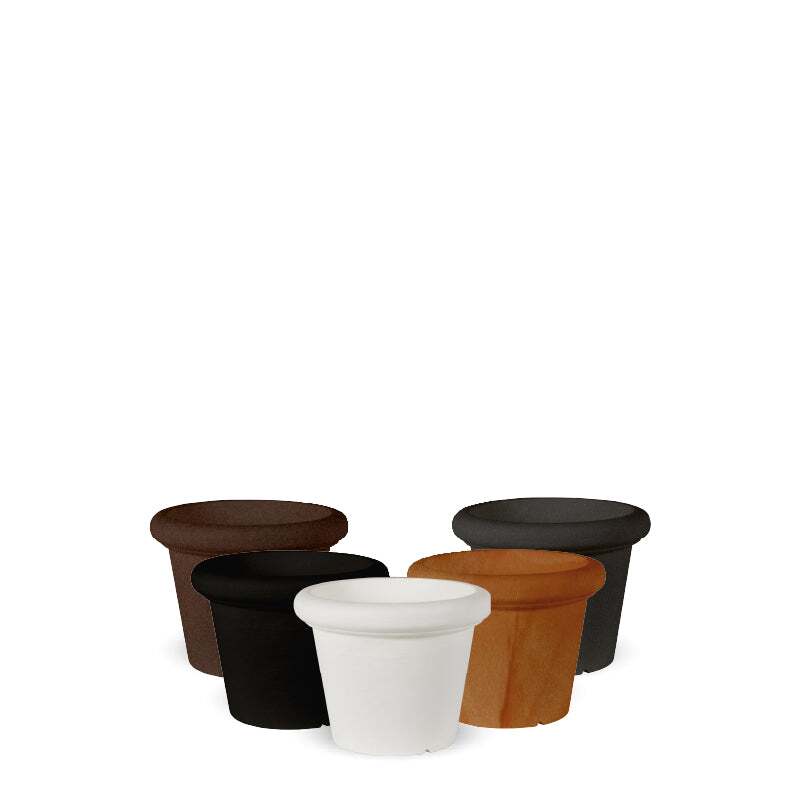 rosa45-rustica@2x