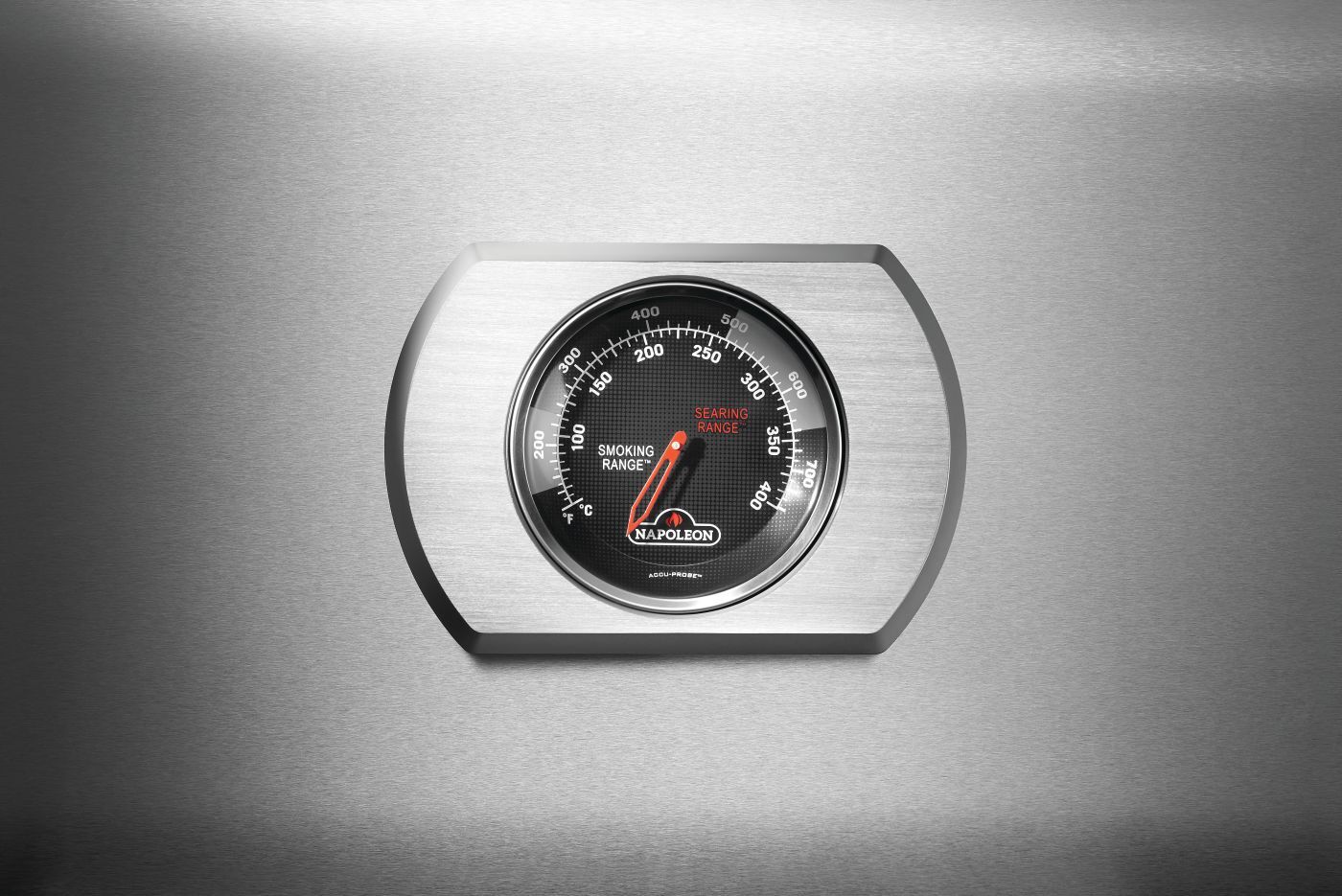R425PSS-2-Web-Gallery-08-Original_JPG-Rogue-2-Edelstahl-Detail-Temperaturanzeige