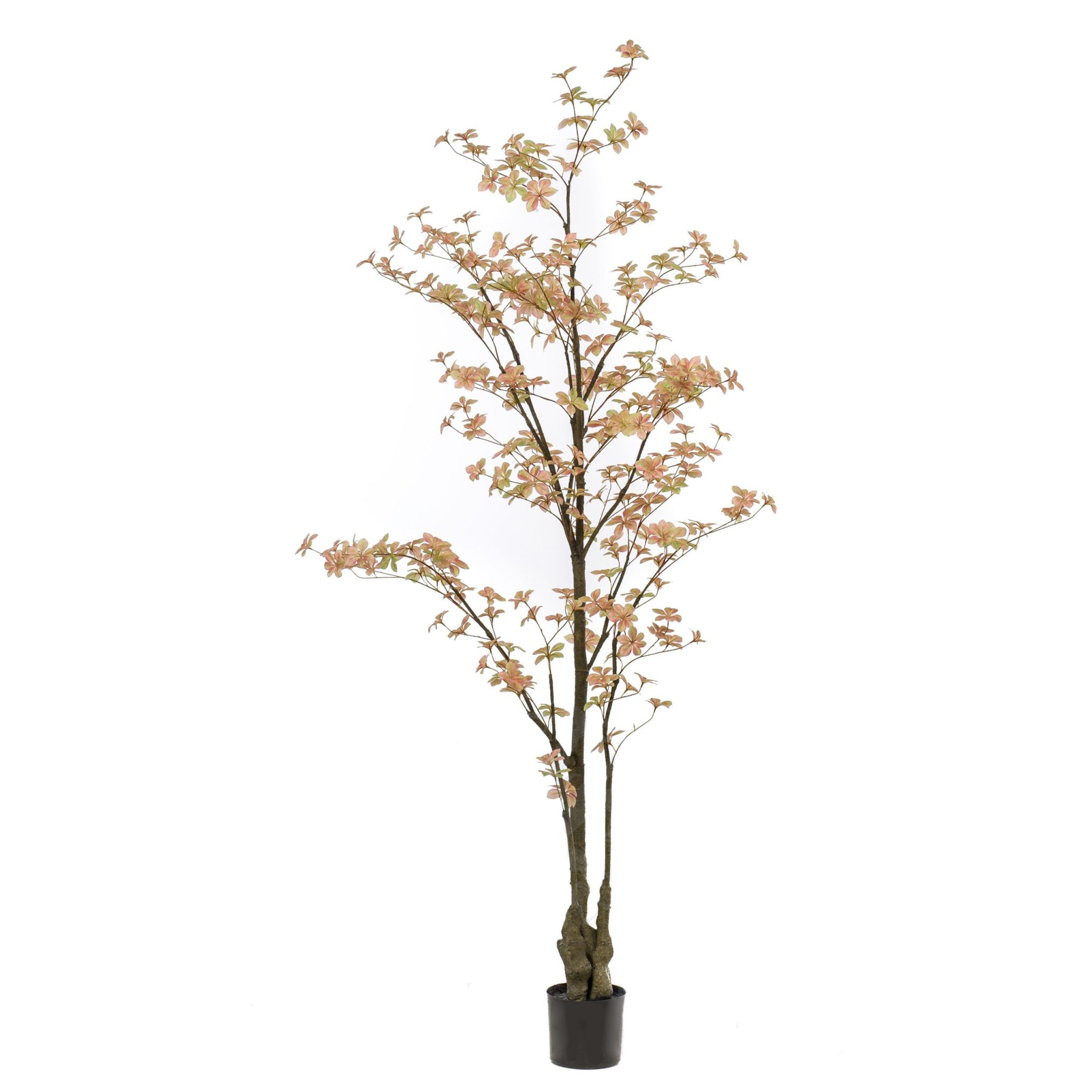 430599-Arbol_TROPAELUM-NaranjaPastel-210cm-scaled