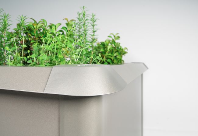 hochbett_quarzgrau_metallic_schneckenschutz