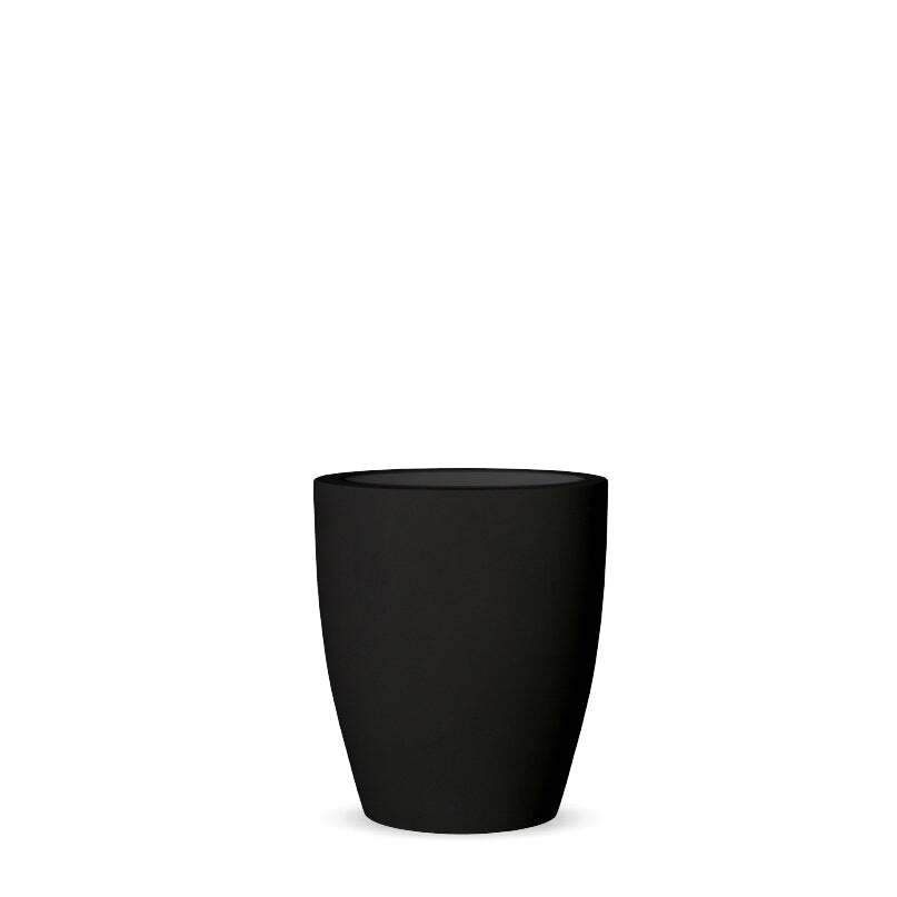 violeta-negro@2x