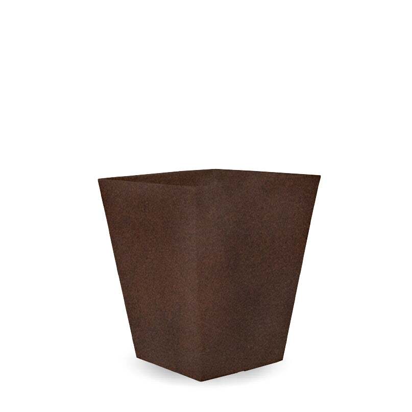 calendula50-Bronce