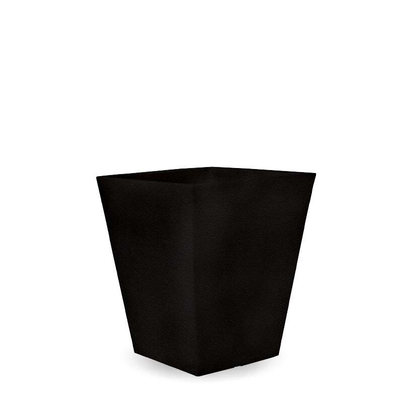 calendula50-Negro