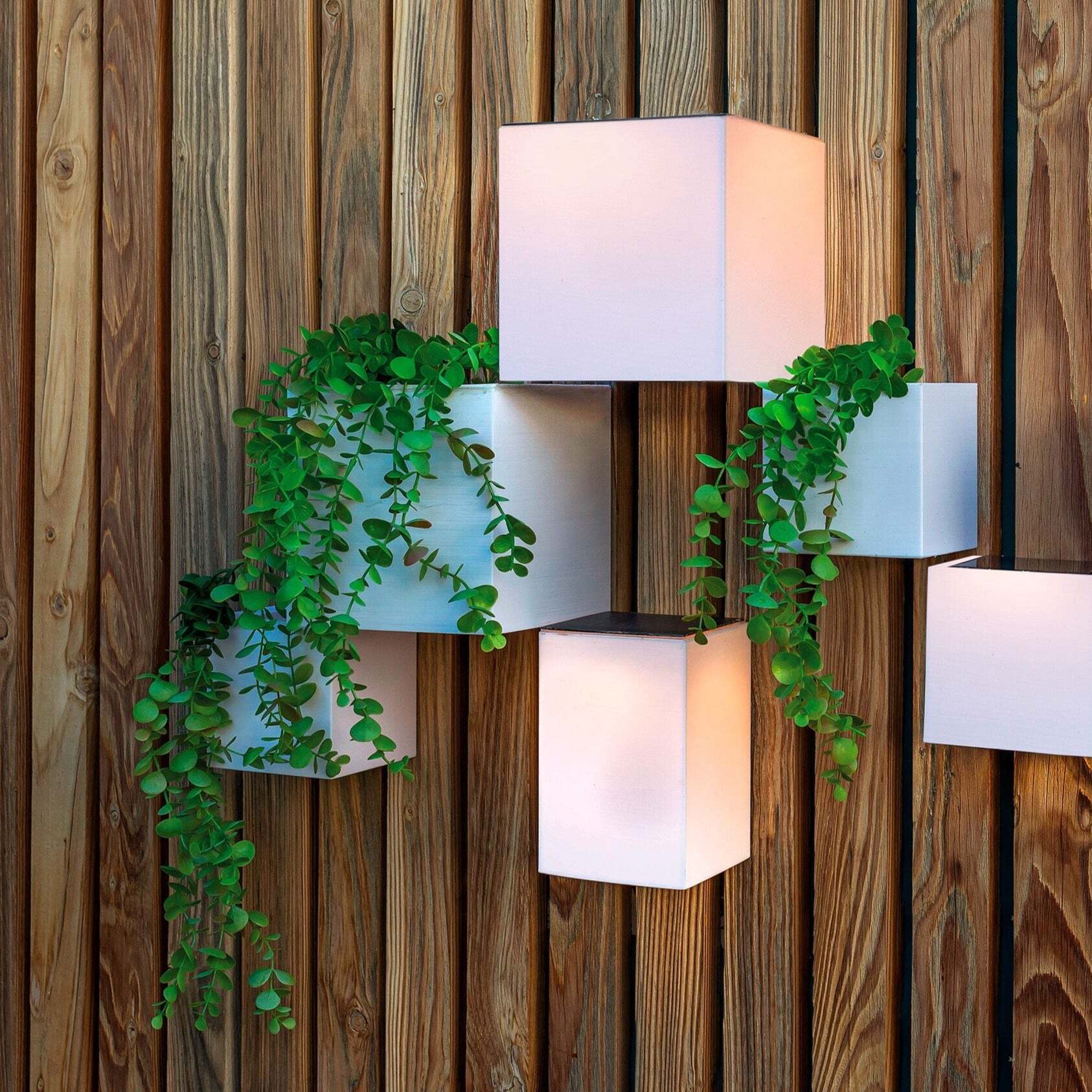 Macetero de pared Wally Pot 18x18x18 (1)