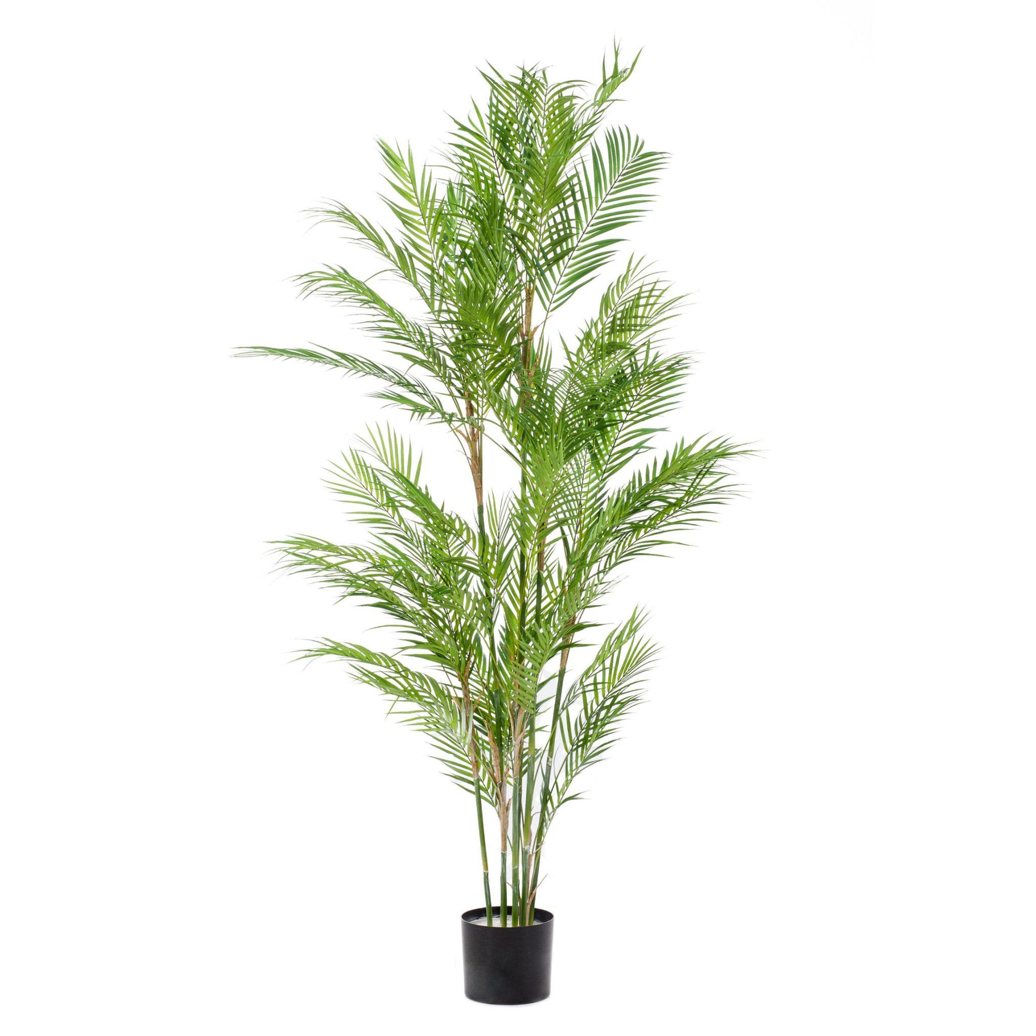 424906-Arbol_PALMERA_STYLE